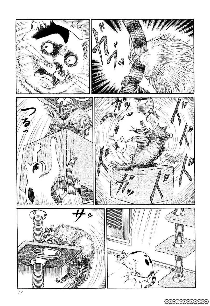 Ito Junji's Cat Diary Chapter 7 9